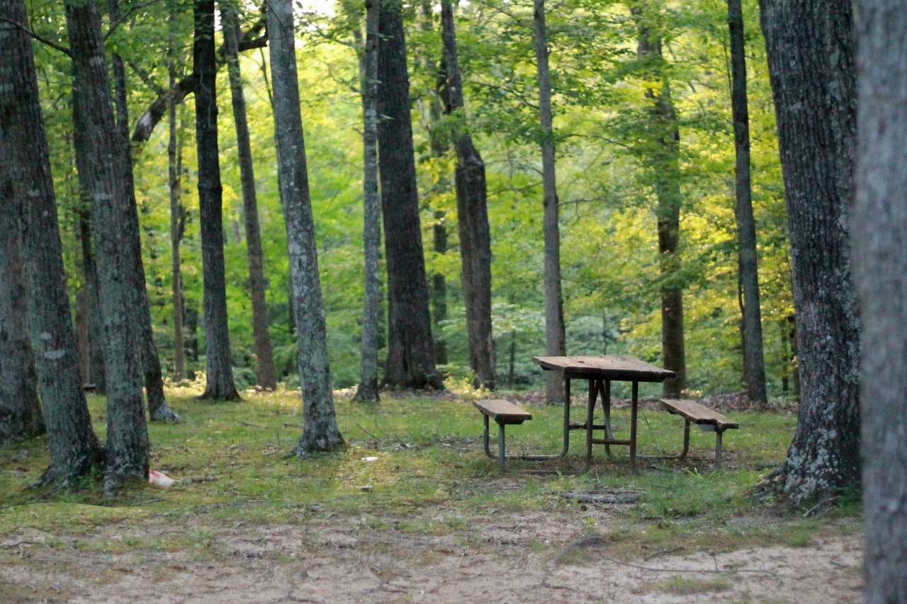 Unwind and Explore: The Joys of Keeping a Campground Log